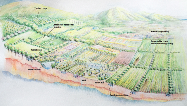 This artist’s rendering in a report called “Maui’s Farming Future,” released Monday, shows what regenerative agriculture could look like. 